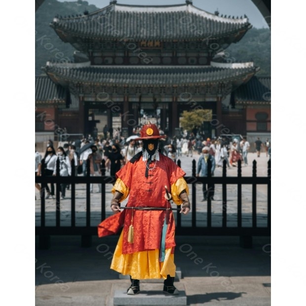 pexels-jakobjin-14213192 _1_.jpg